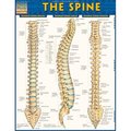 Barcharts BarCharts 9781423220237 The Spine Quickstudy Easel 9781423220237